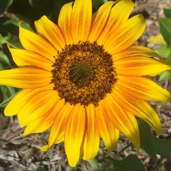 PLEASE LIKE NEW GAME! - Picture 6 of 12